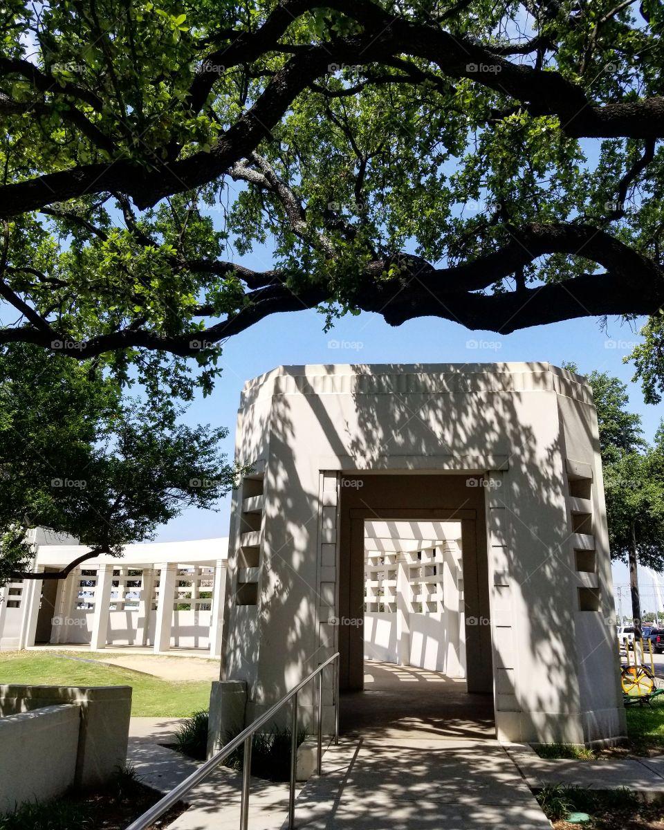 White building under green trees against blue skies at the grassy knoll at Dealey Plaza in Dallas
