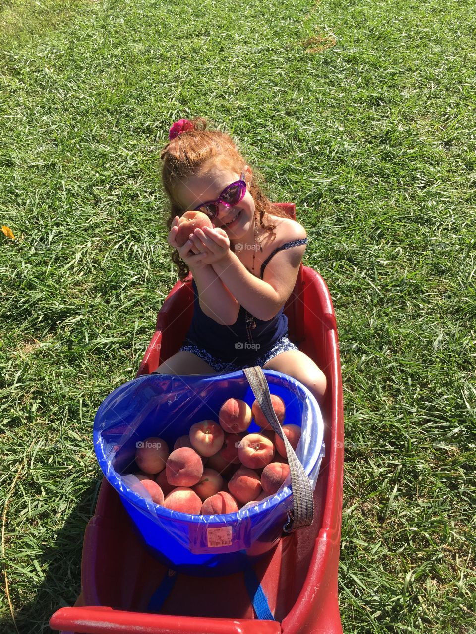 Picking peaches!