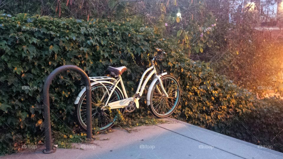 The White Bike. Found this shot while taking a stroll through UCLA campus.