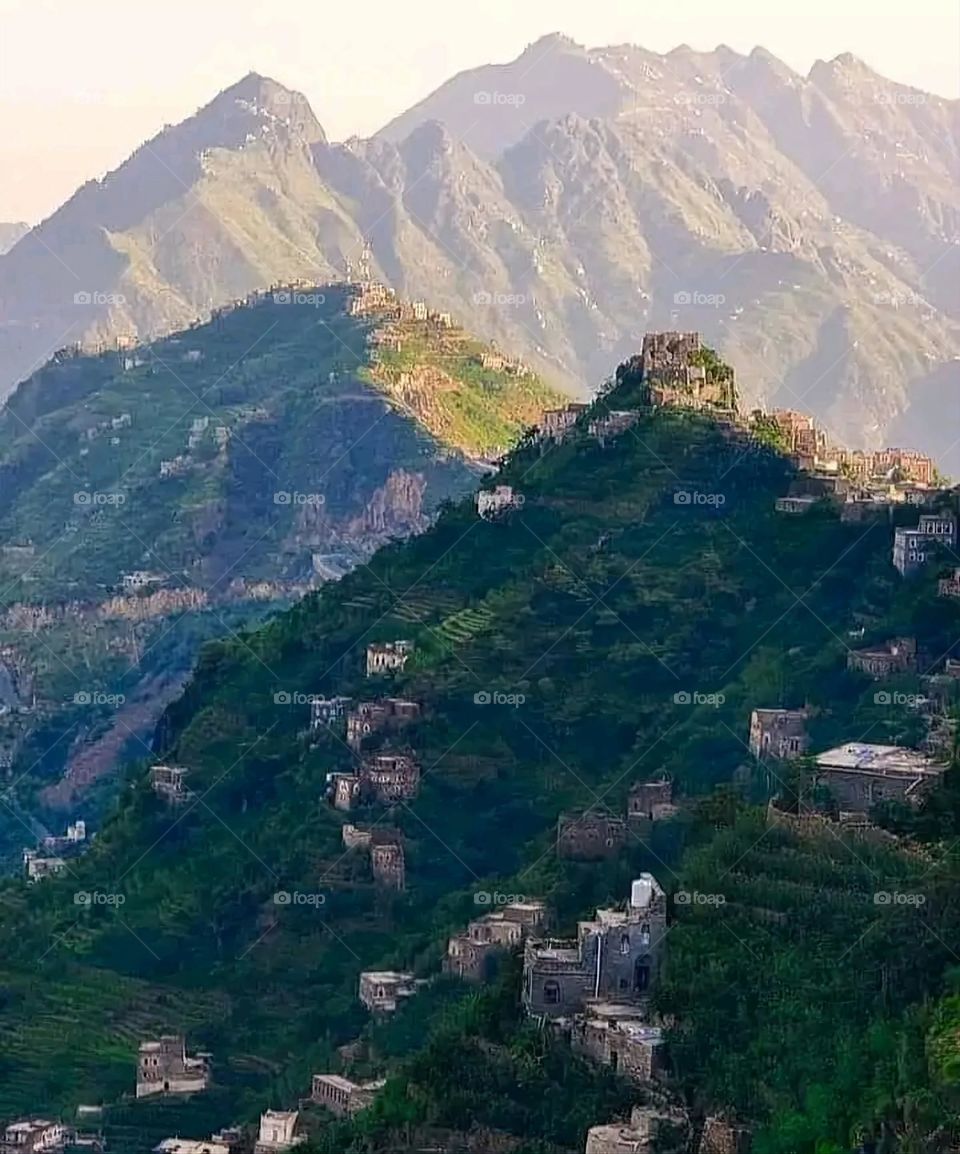 A very beautiful picture, and there is no better picture than it. There is no better picture of green herbs and colorful, red and white roses than it. Glory be to God, the natural and picturesque view, and there is no more
