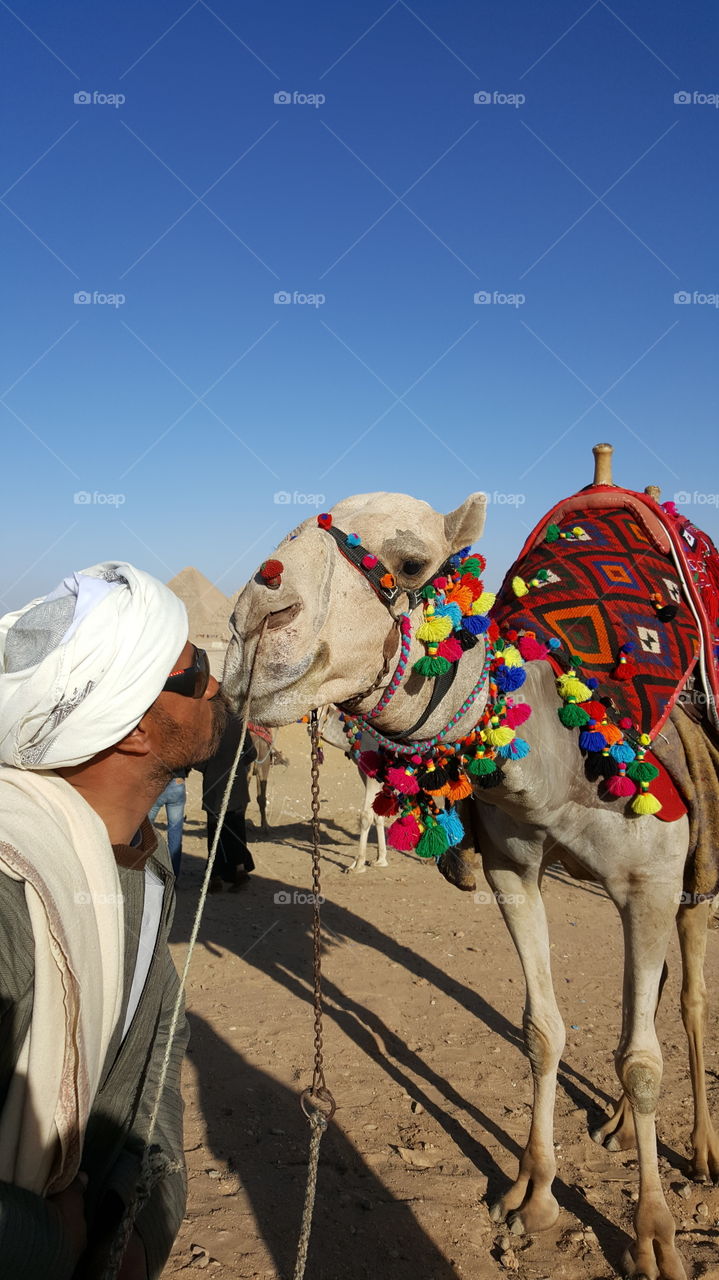 In Cairo visiting the pyramids