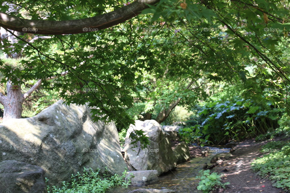 beautiful nature park