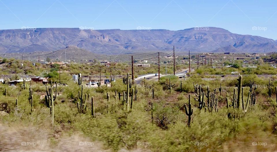 Landscape of New Mexico