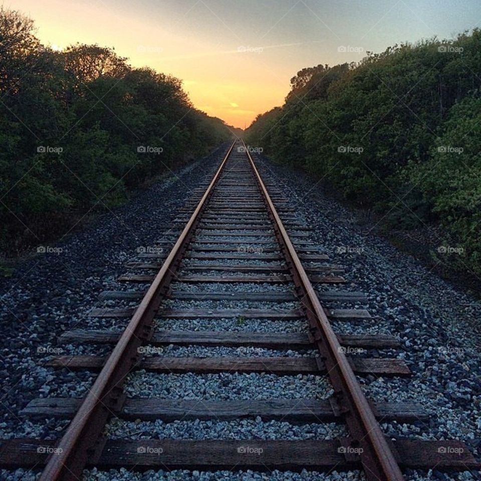 Railroad into the Sunset
