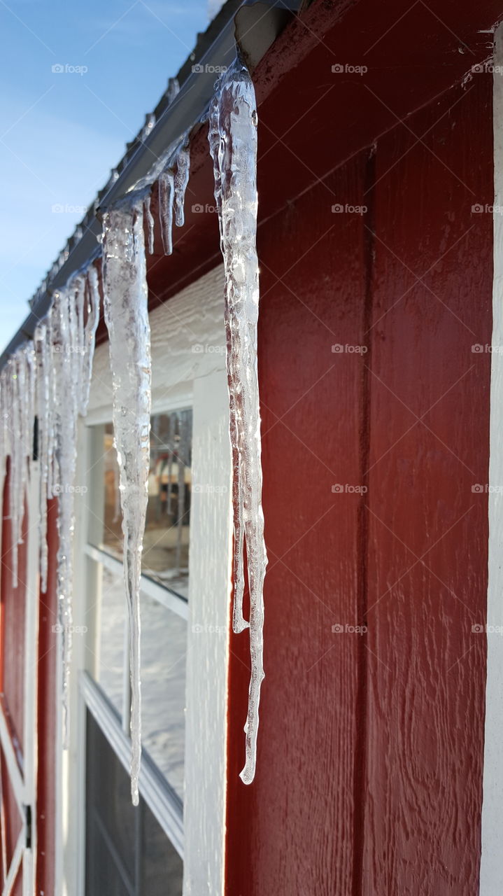 Red Barn Ice Cycles