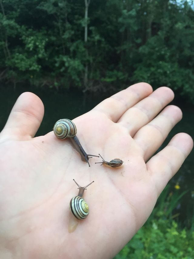Treffpunkt am Wald 