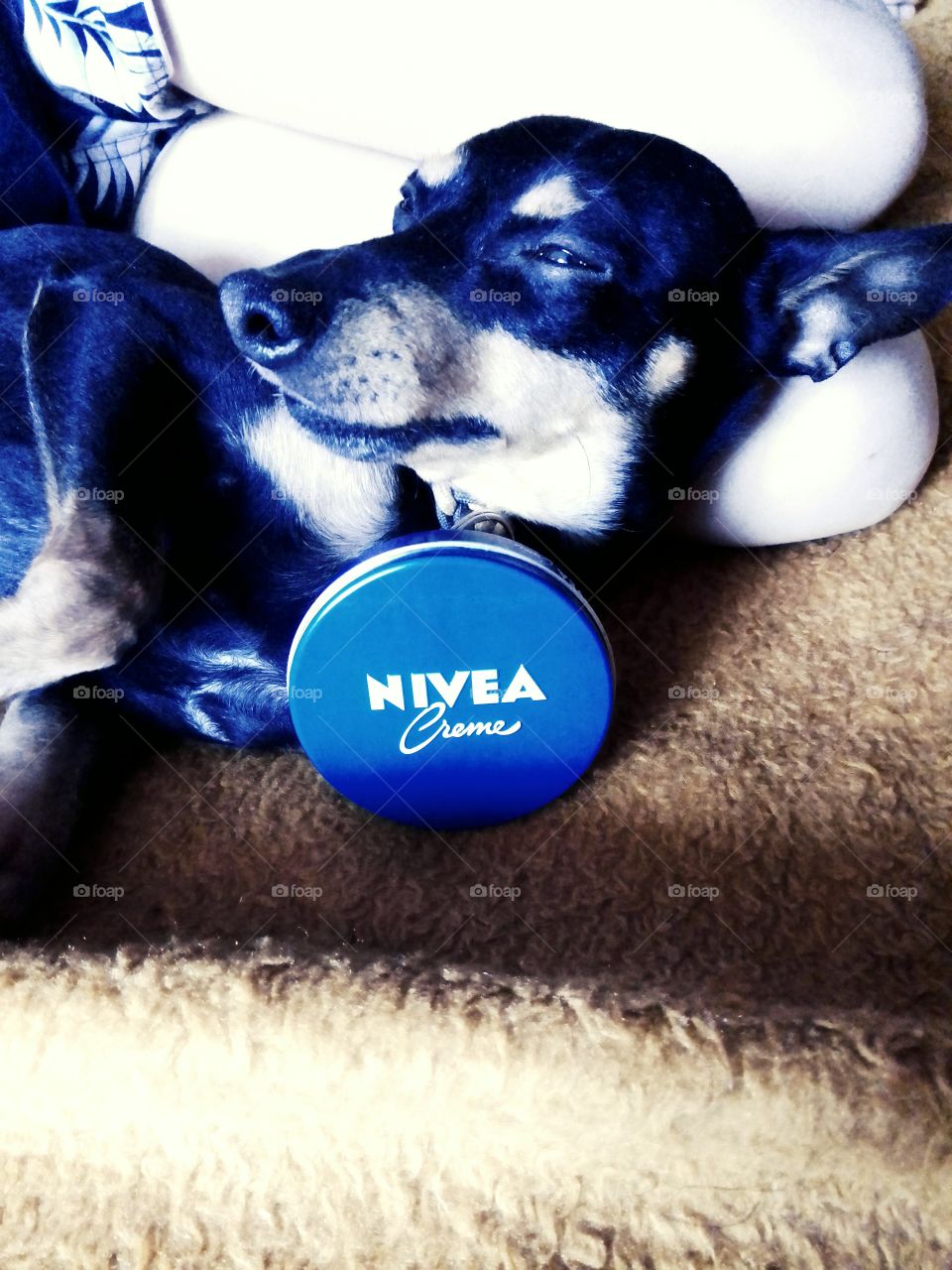 Nivea