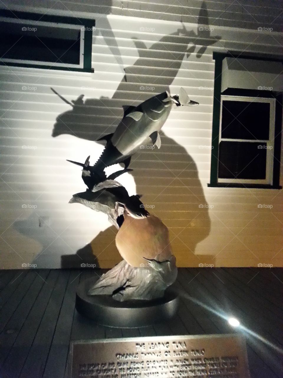 Marlin statue and shadows