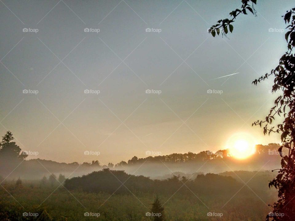 Sunrise over trees in foggy weather