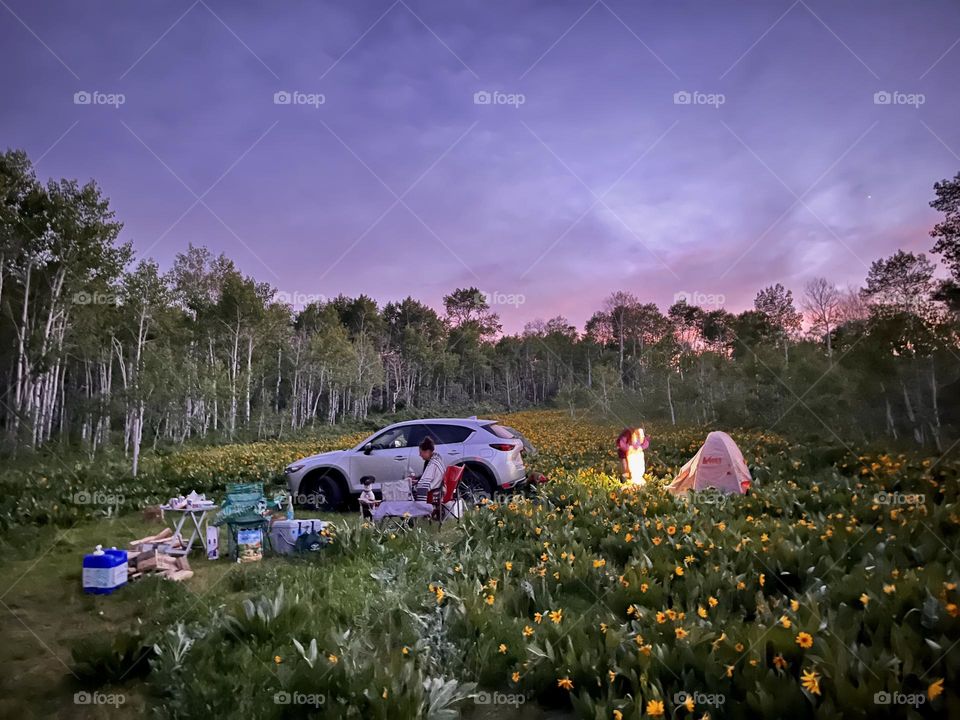 Setting up camp as the sun sets over a field of wildflowers in the Utah mountains 