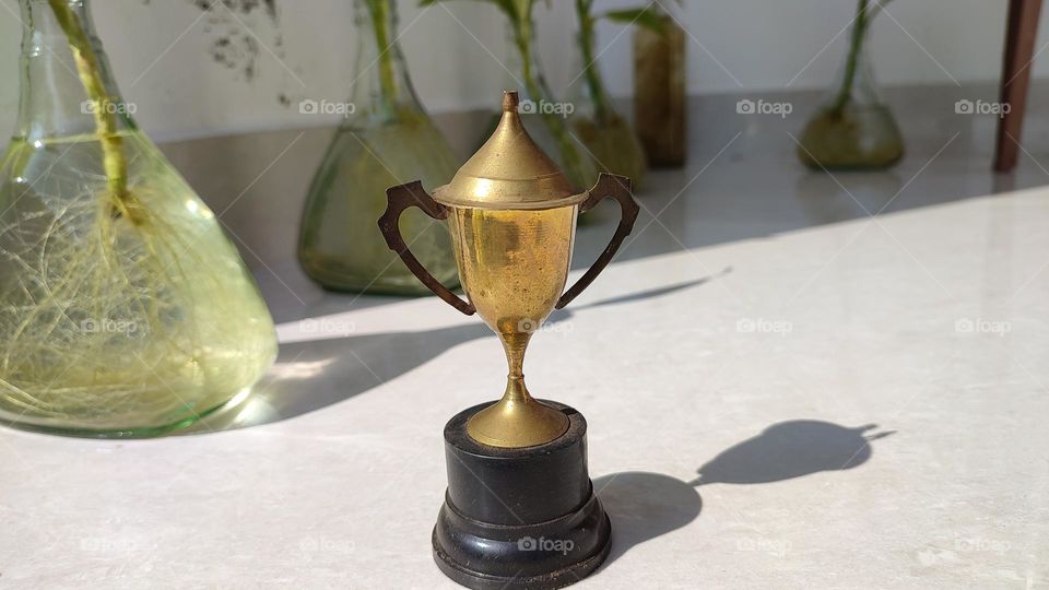 Trophy - Golden colour
