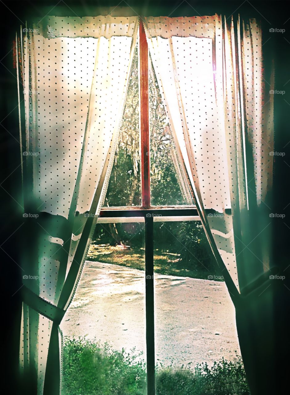 Antebellum house window with the view of a sunny day.