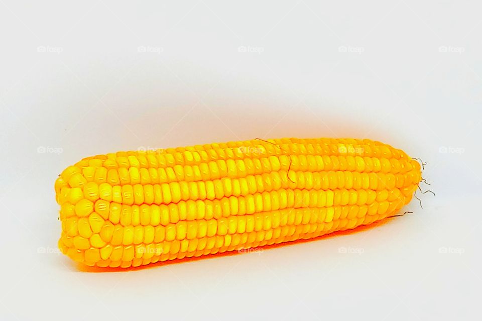 corn,maize