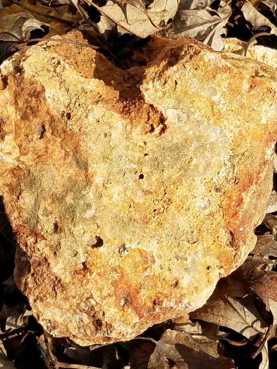 What can we Really see in a Rock