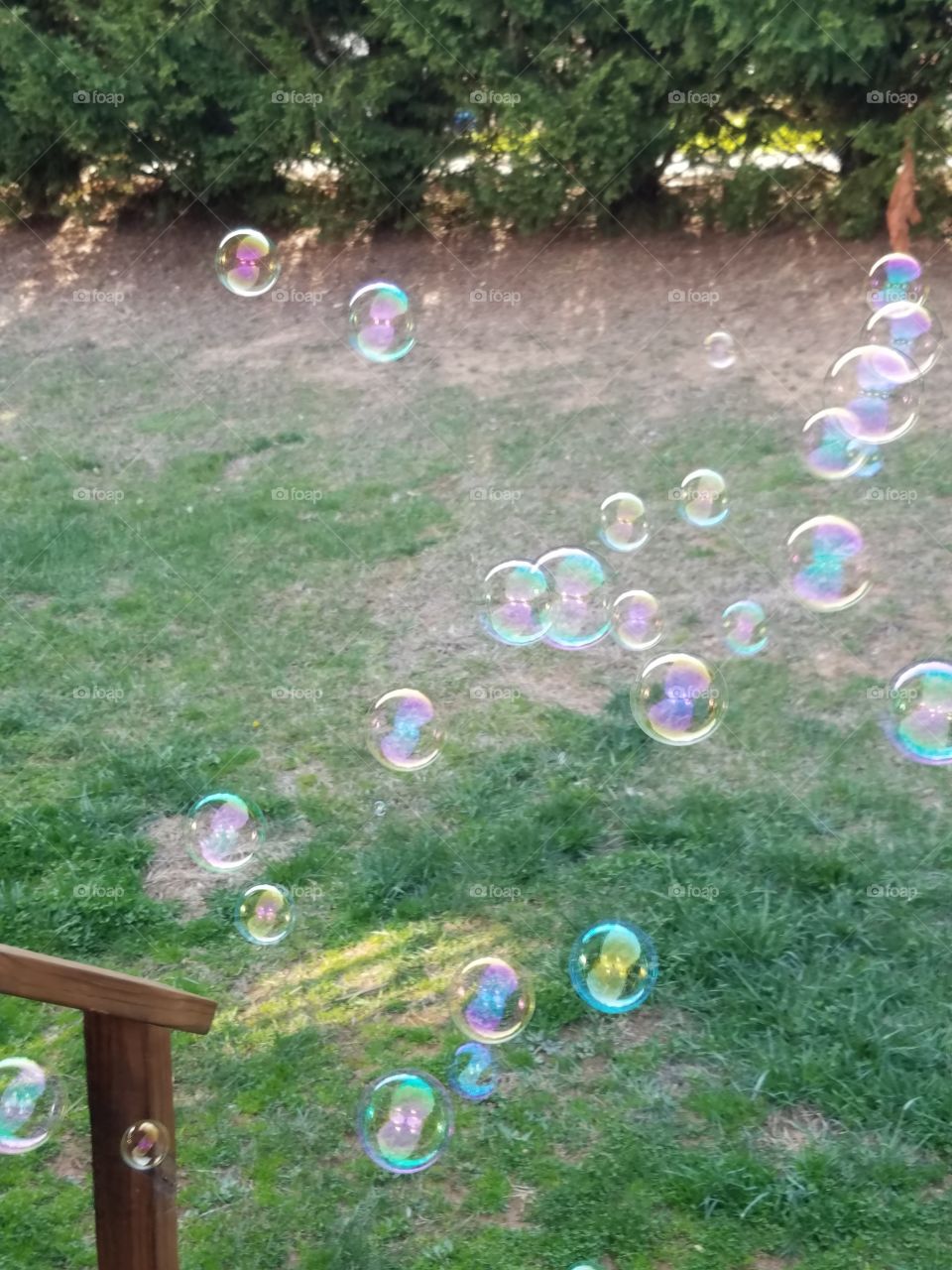 Bubbles