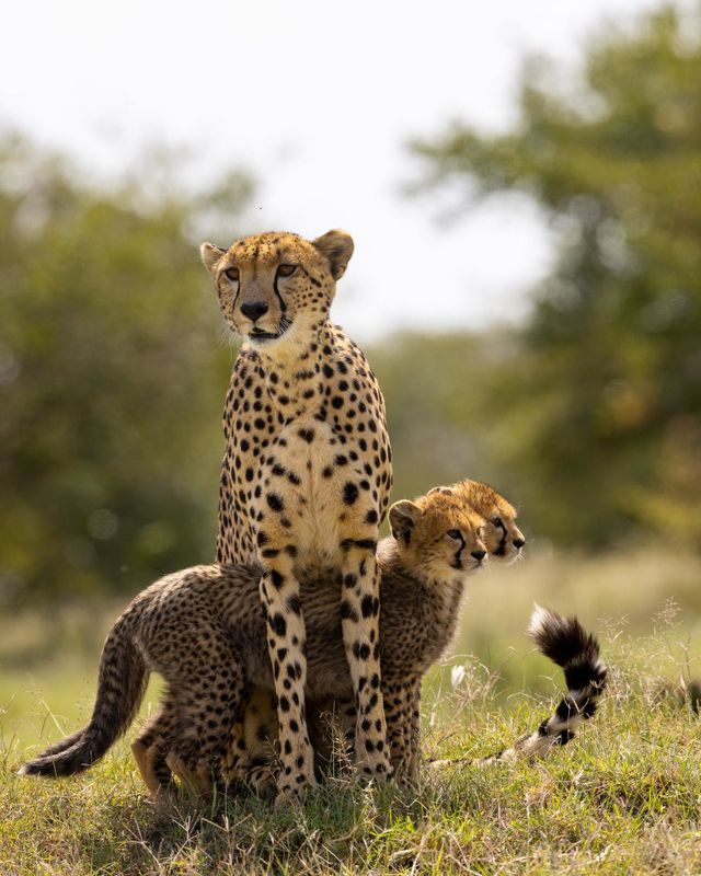 MOM AND US! ❤️