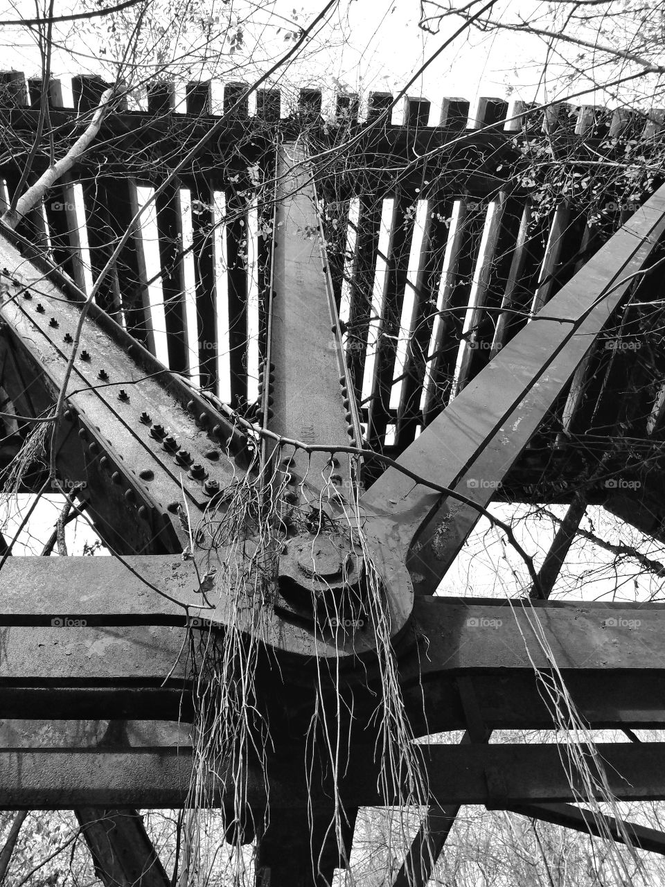 old Railroad bridge in black and white