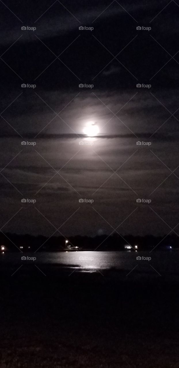 moonlight over Olivia