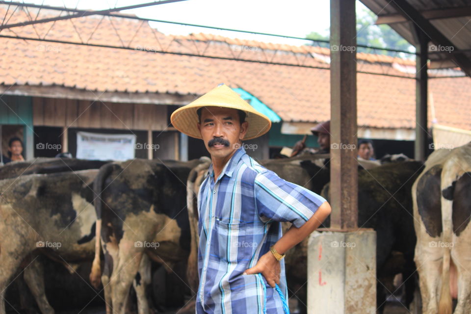 potret pejuang rupiah di pasar sapi