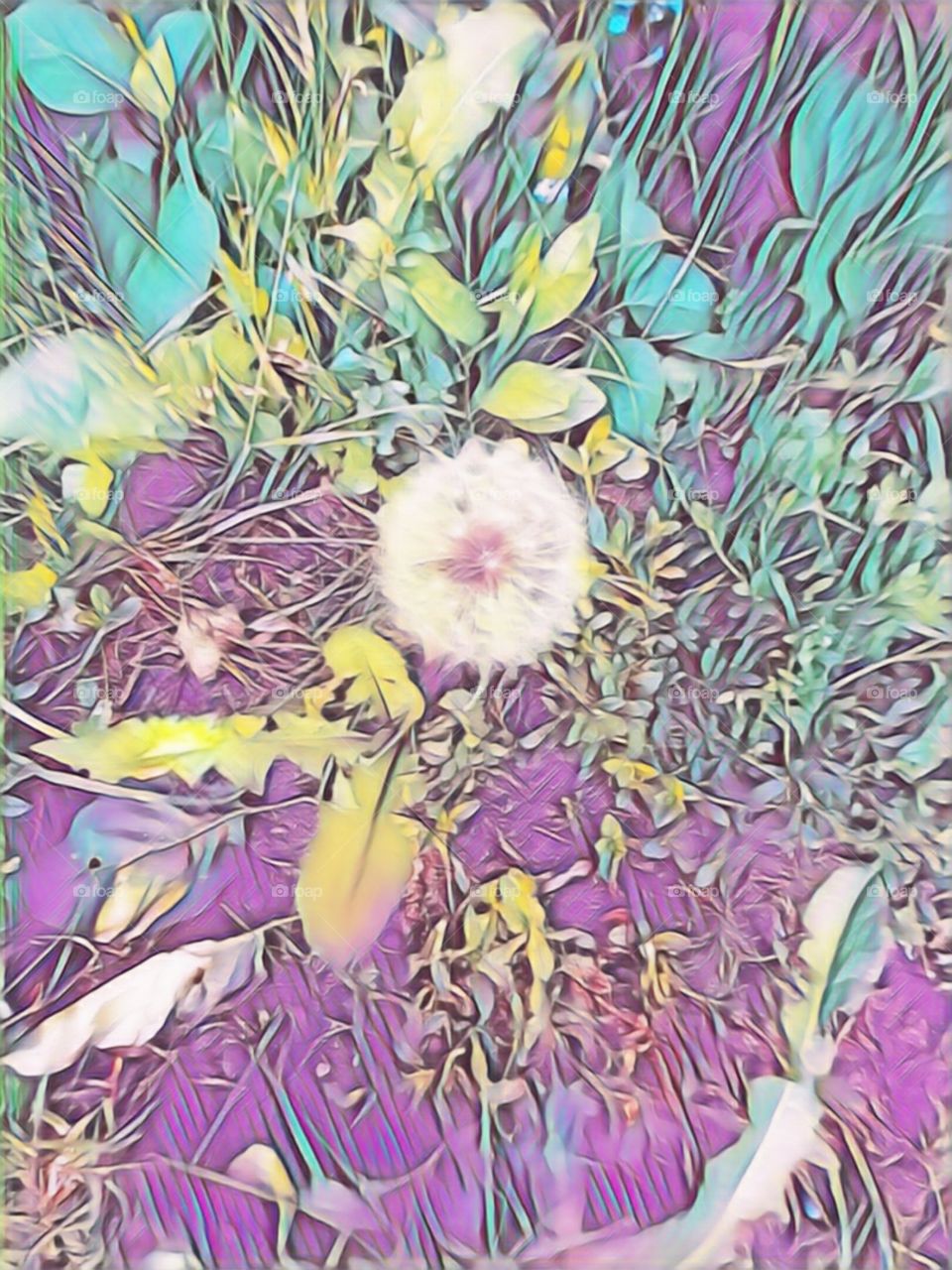 pusteblume