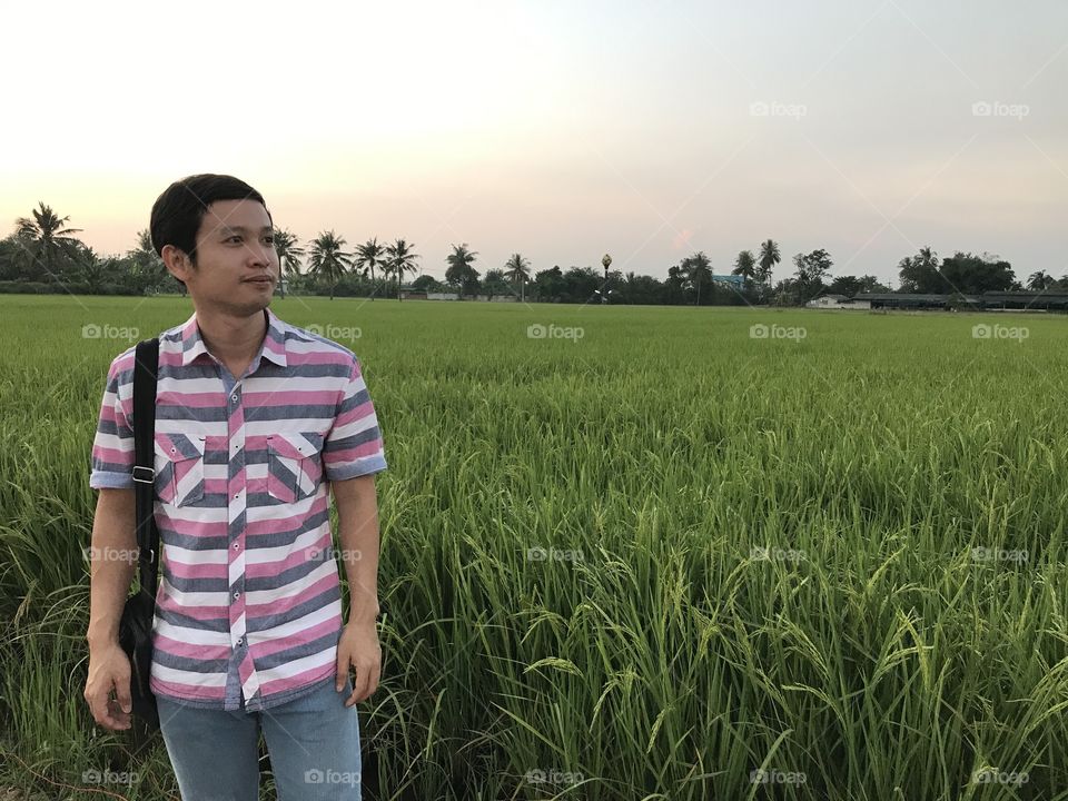 Green nature by rices