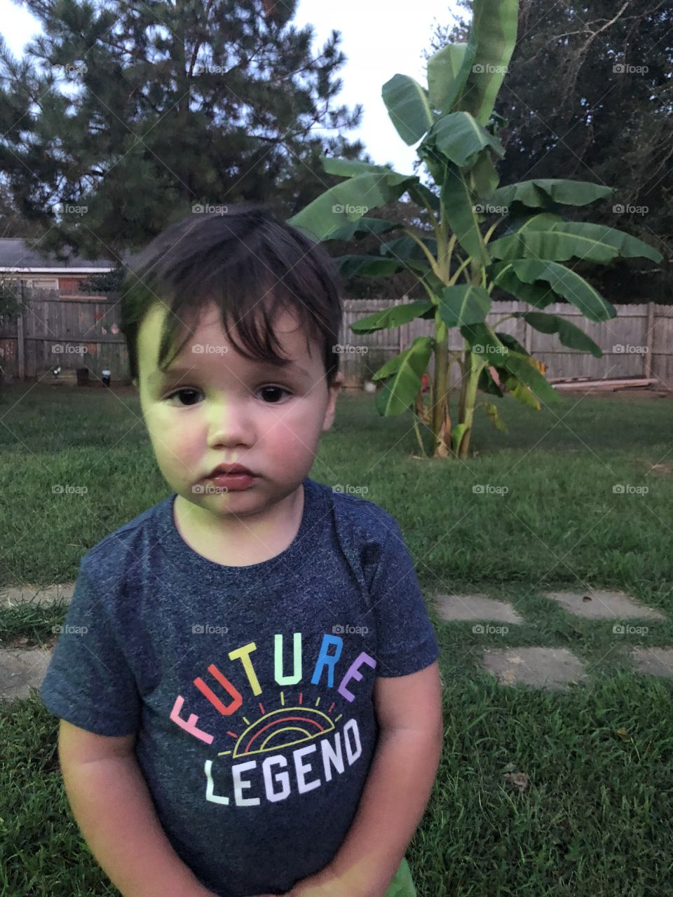 A cute  chubby cheeked, dark haired dark eyed two year old in the backyard. 