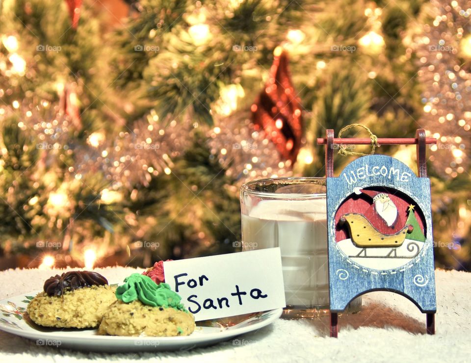 Snacks for Santa