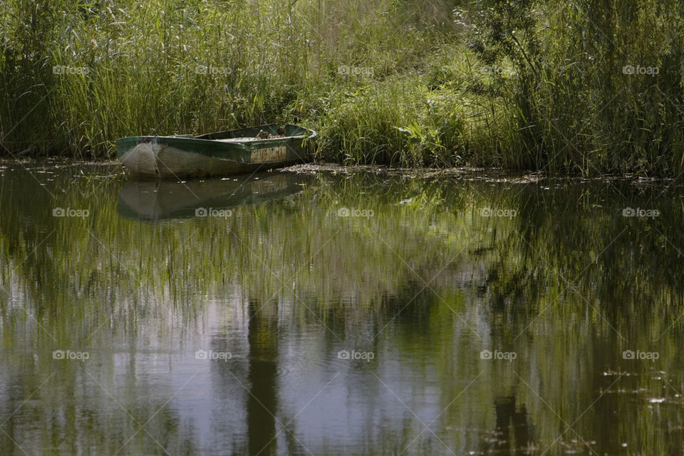 small boat in the green 