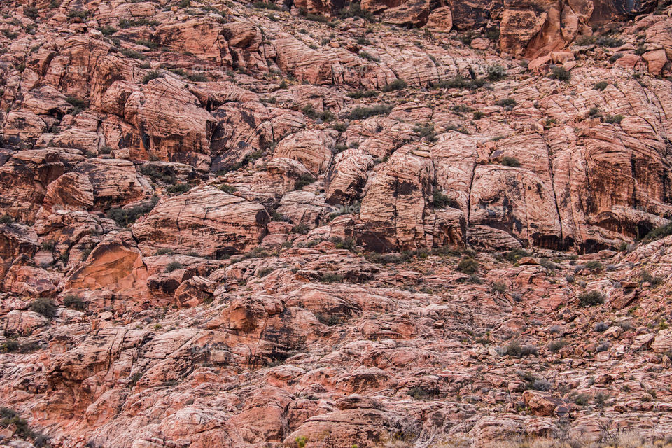 red rocks