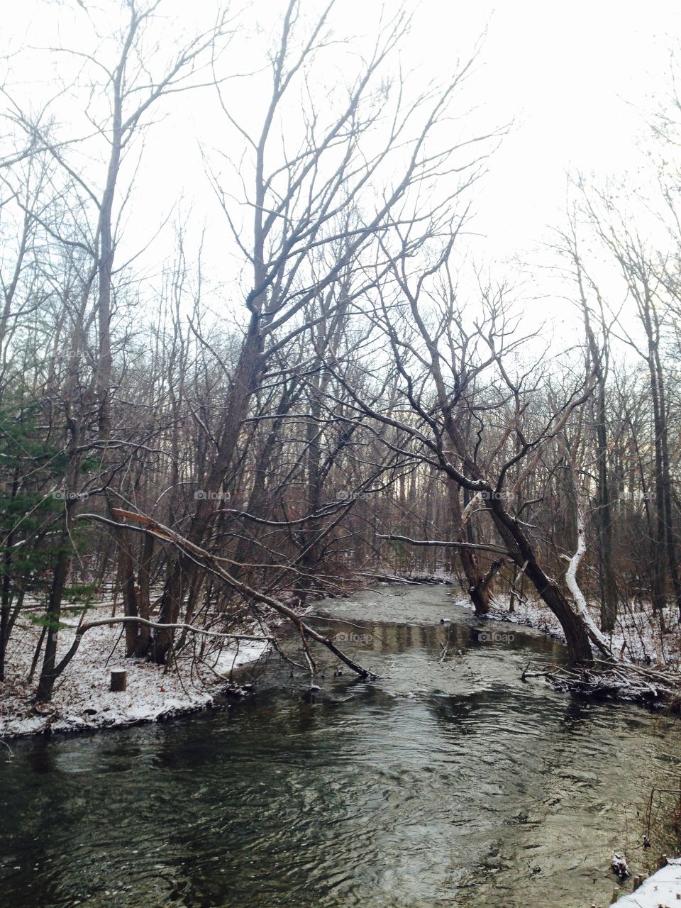A long winter run begins at the river. 