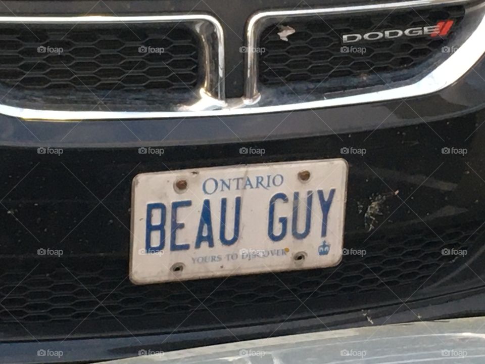 Unique license plate collection BEAU GUY