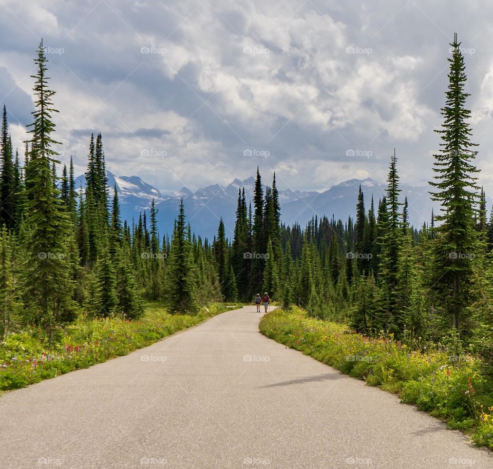 Hiking scenic mountain paths on beautiful summer day