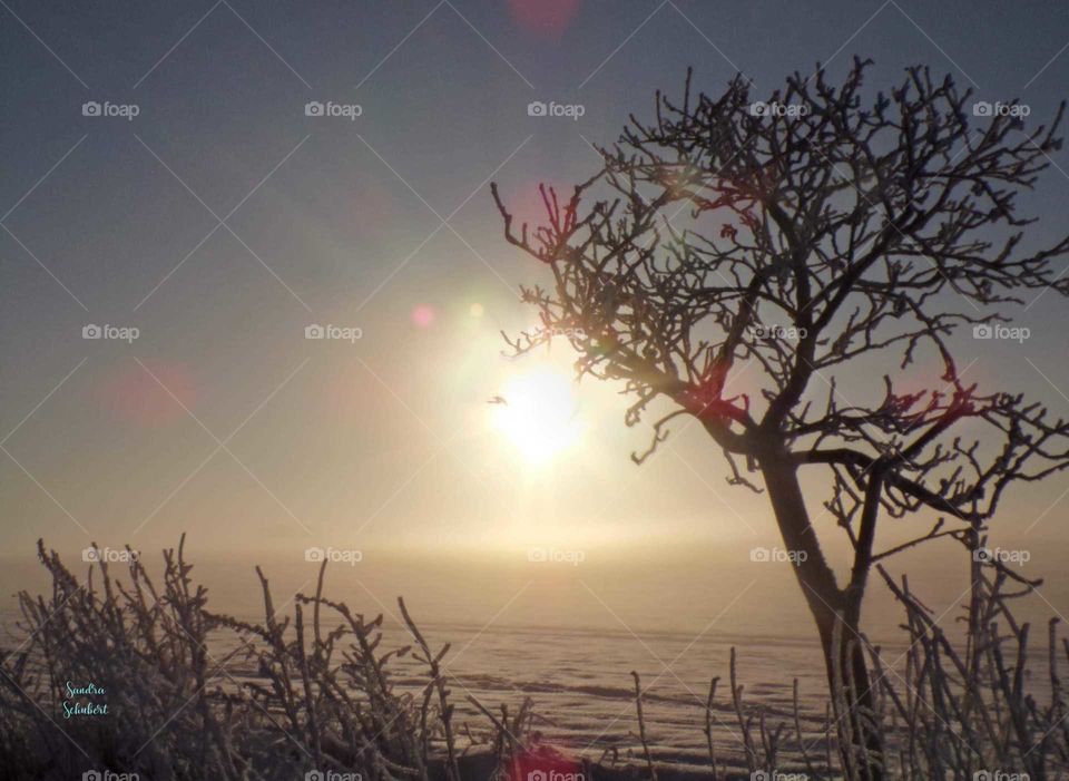 Sonnenaufgang im Winter