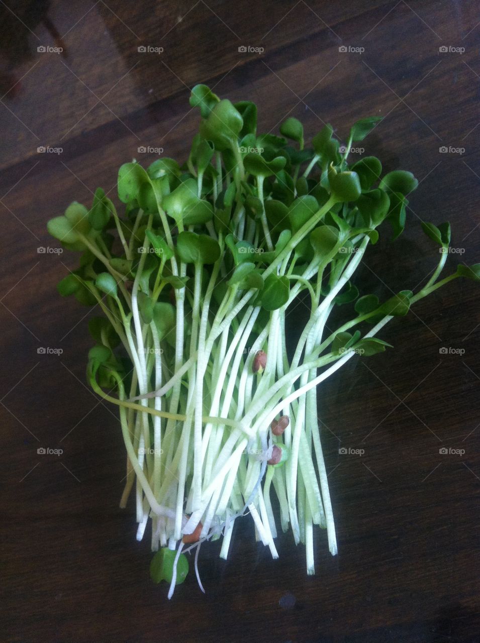 Radish sprouts