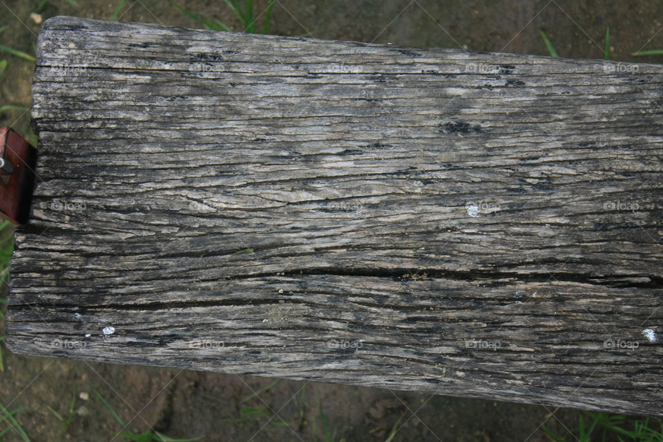 Woods texture 