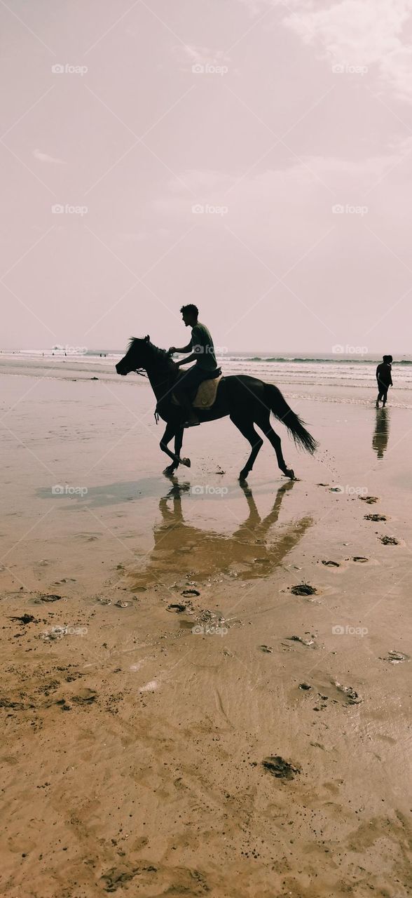 an adult man on a horseback near the beach at essaouira city in Morocco.