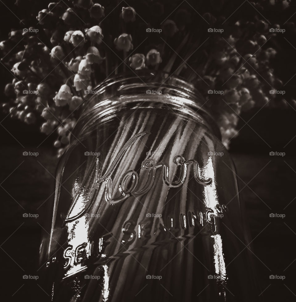 black and white abstract photograph of Lily of the Valley