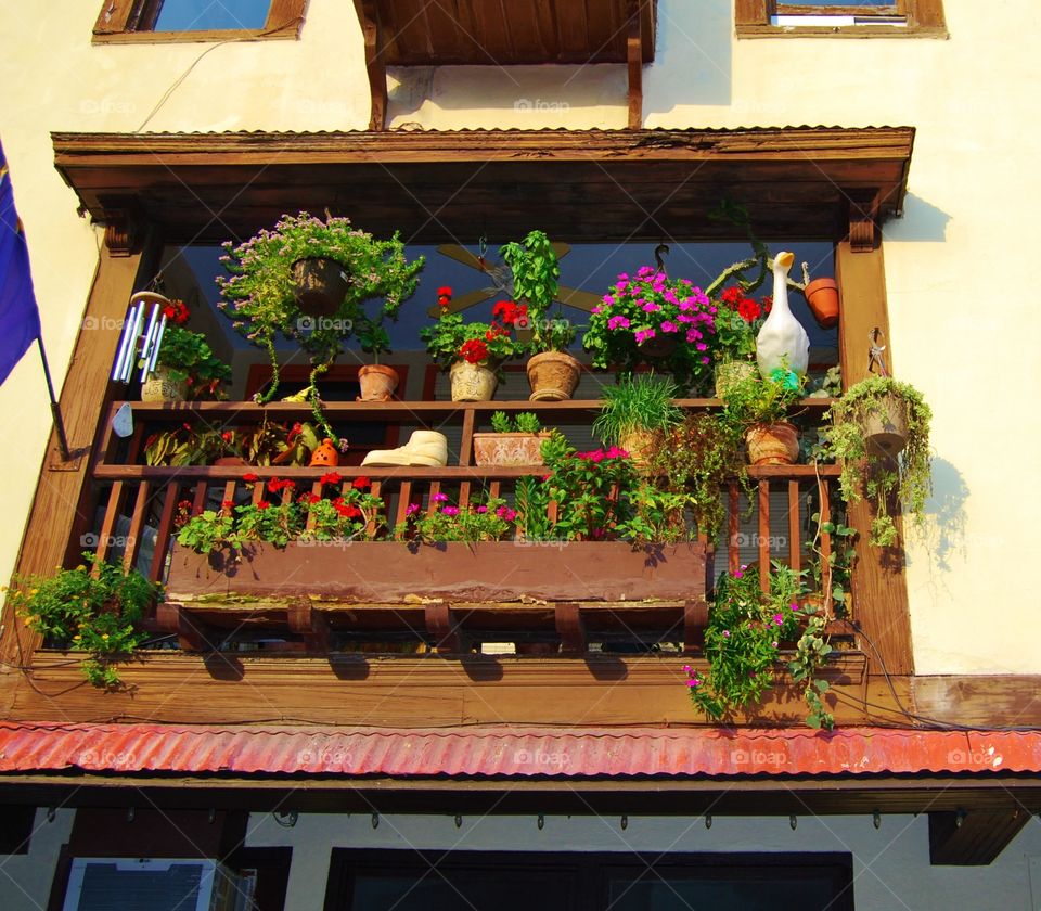 Flowers on a porch 