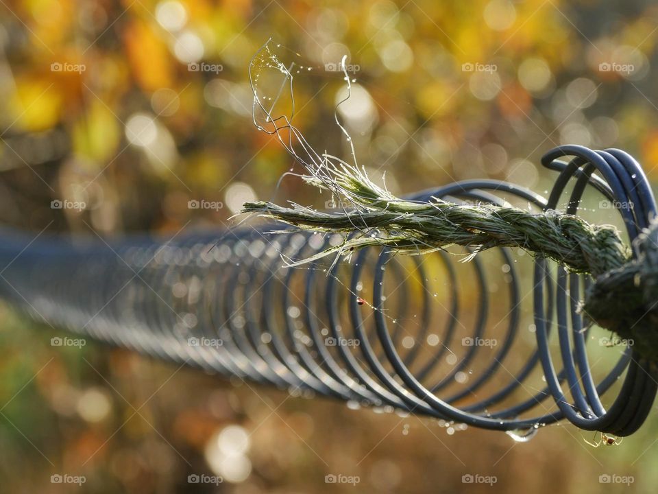 Autumn bokeh