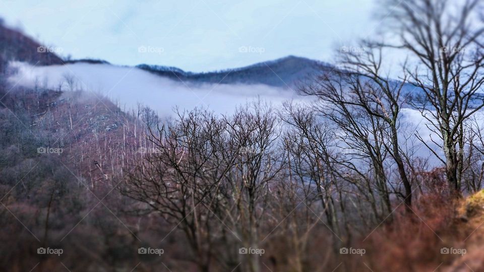 Fog in the mountains