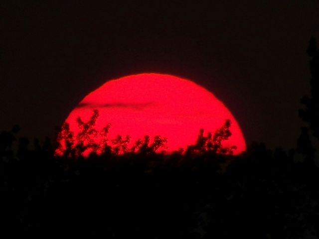 sky is ablaze.