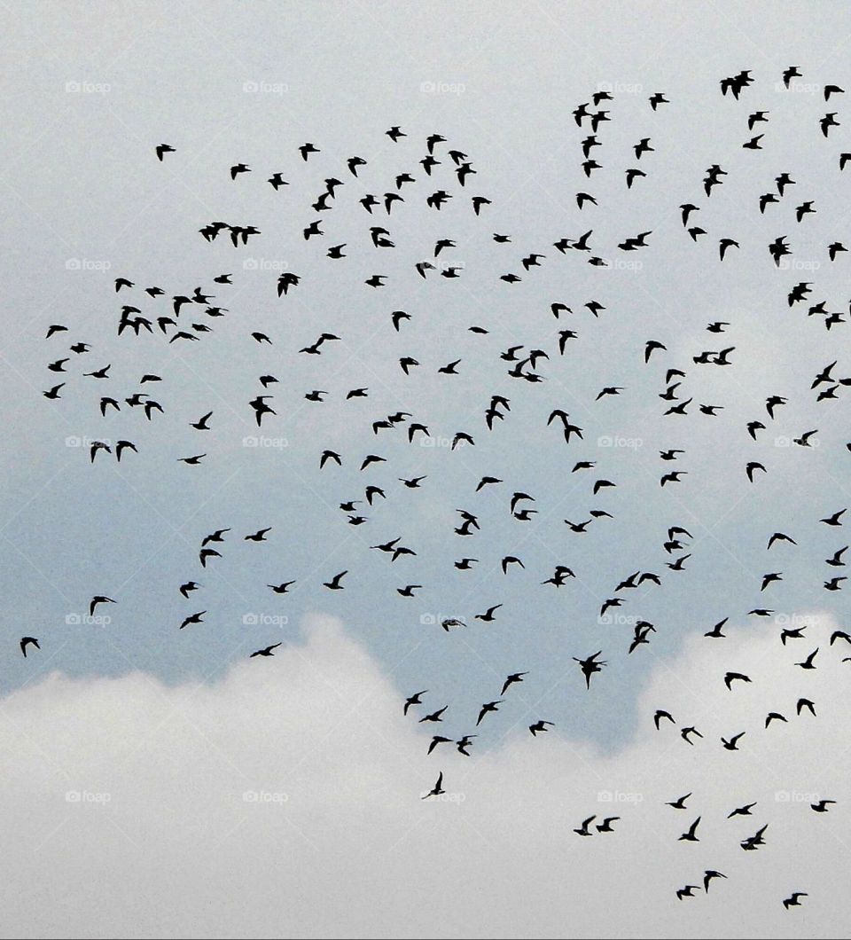 Best day for getting photos