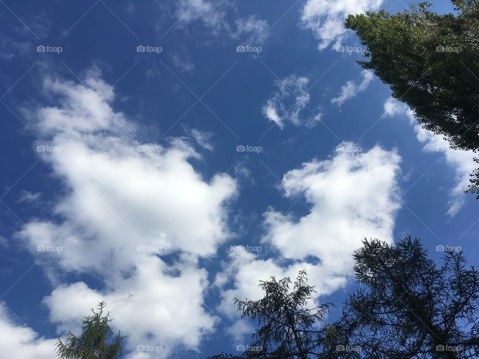 Sky