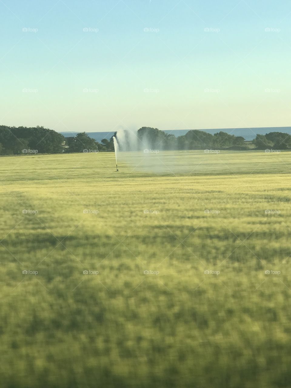 Watering the harvest