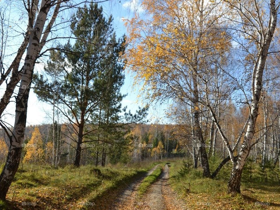 Красоты Кузбасса