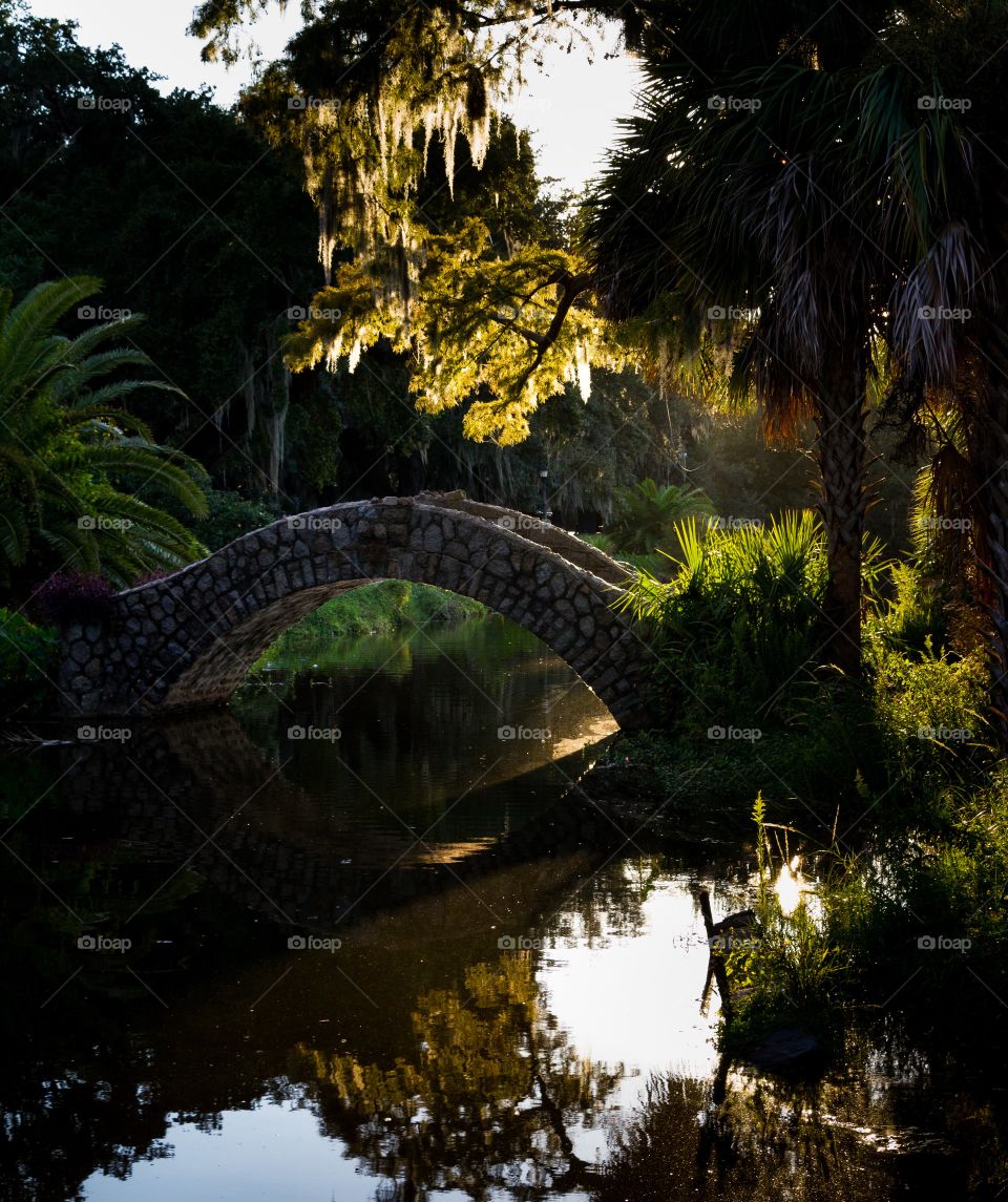 Bridge over water