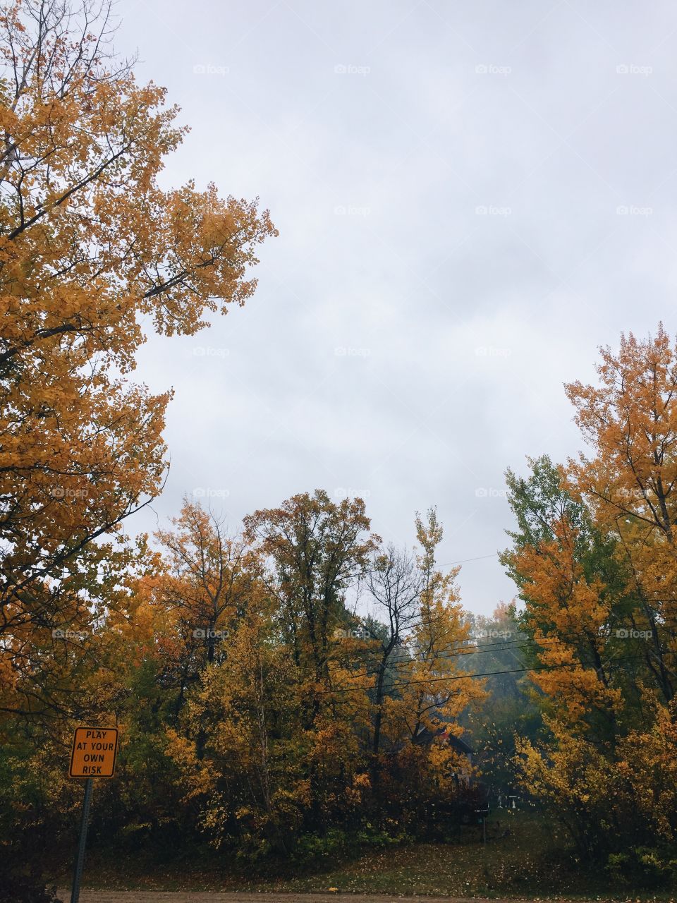 Fall is the prettiest season 💞🍂🍁🌾