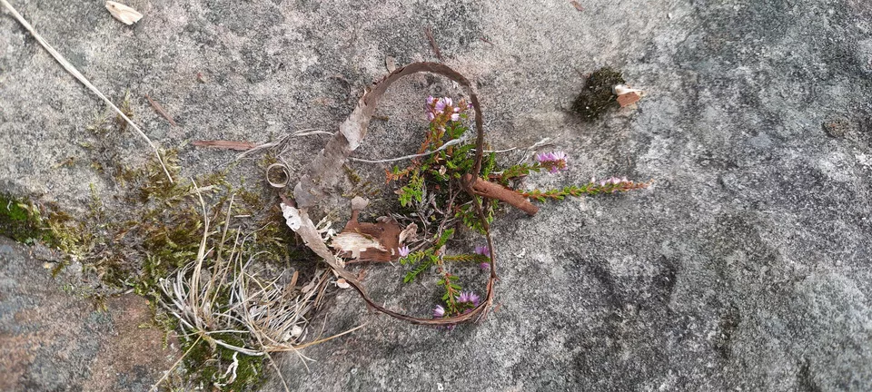 natural heart