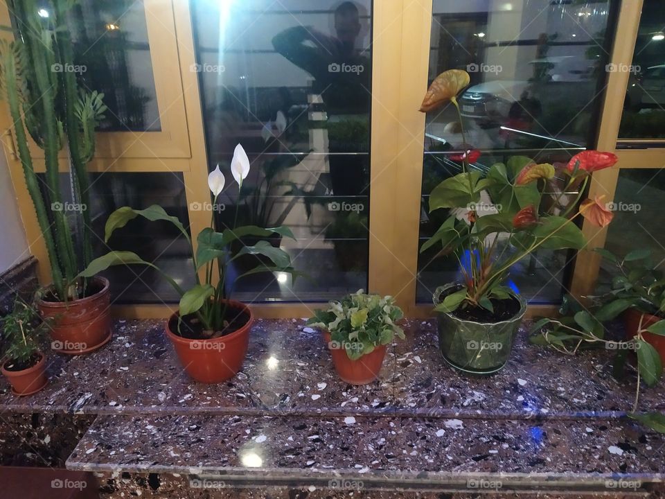 Gozali saves the world if it smells sweet 🌺💐🌷🌹🥀