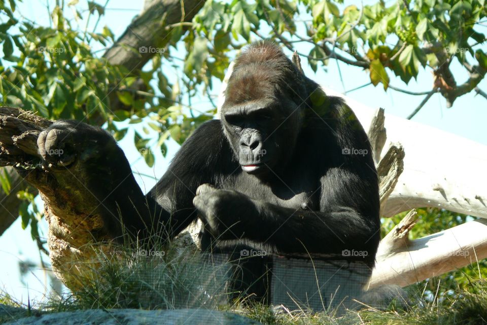 Bhalu Bhairav Gym & Fitness in Kathmandu, Nepal. Join us at 1. Kalanki Khasi Bazzar, Kalanki (Near Bhatbhateni) 2. Khadka Gaun ...